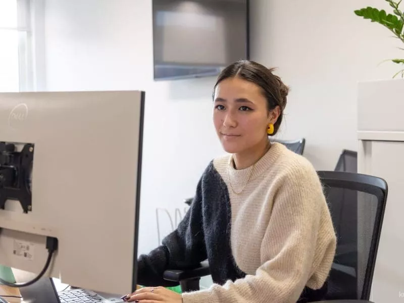 Consultant working on monitor