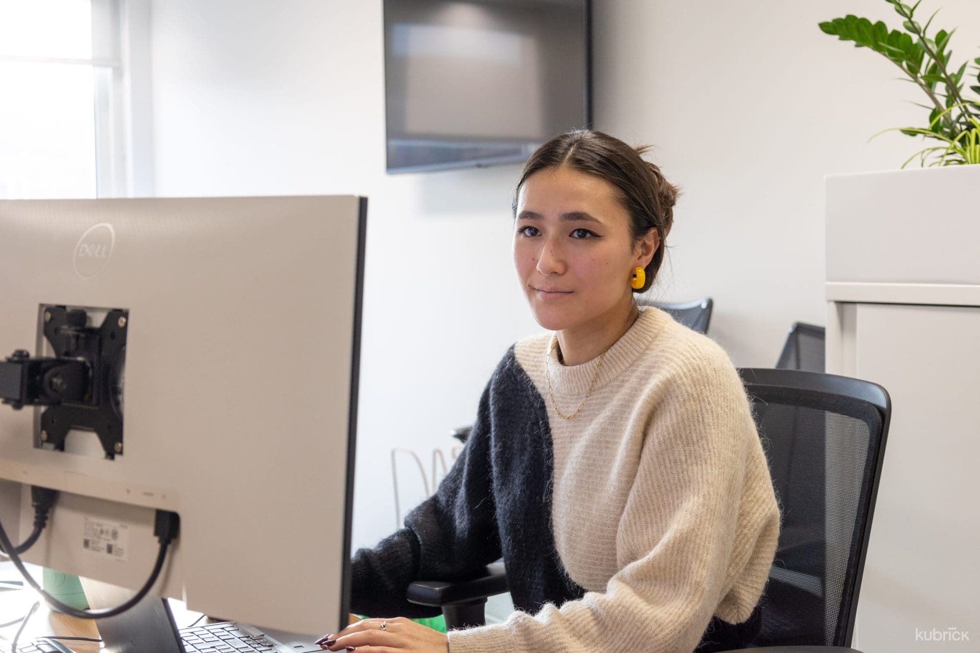 Consultant working on monitor